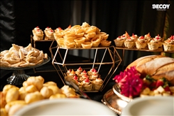 Festa das Estrelas 2025 - Rondônia 