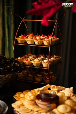 Festa das Estrelas 2025 - Rondônia 